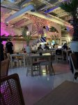عکس اول